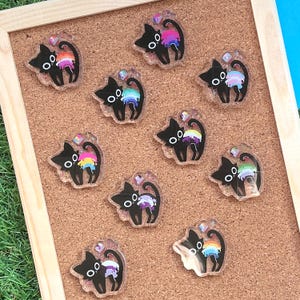 Può includere: Dieci ciondoli a forma di gatto nero con accenti di glitter arcobaleno. I ciondoli sono realizzati in resina trasparente e presentano una silhouette di gatto nero con un effetto di schizzi di vernice arcobaleno.