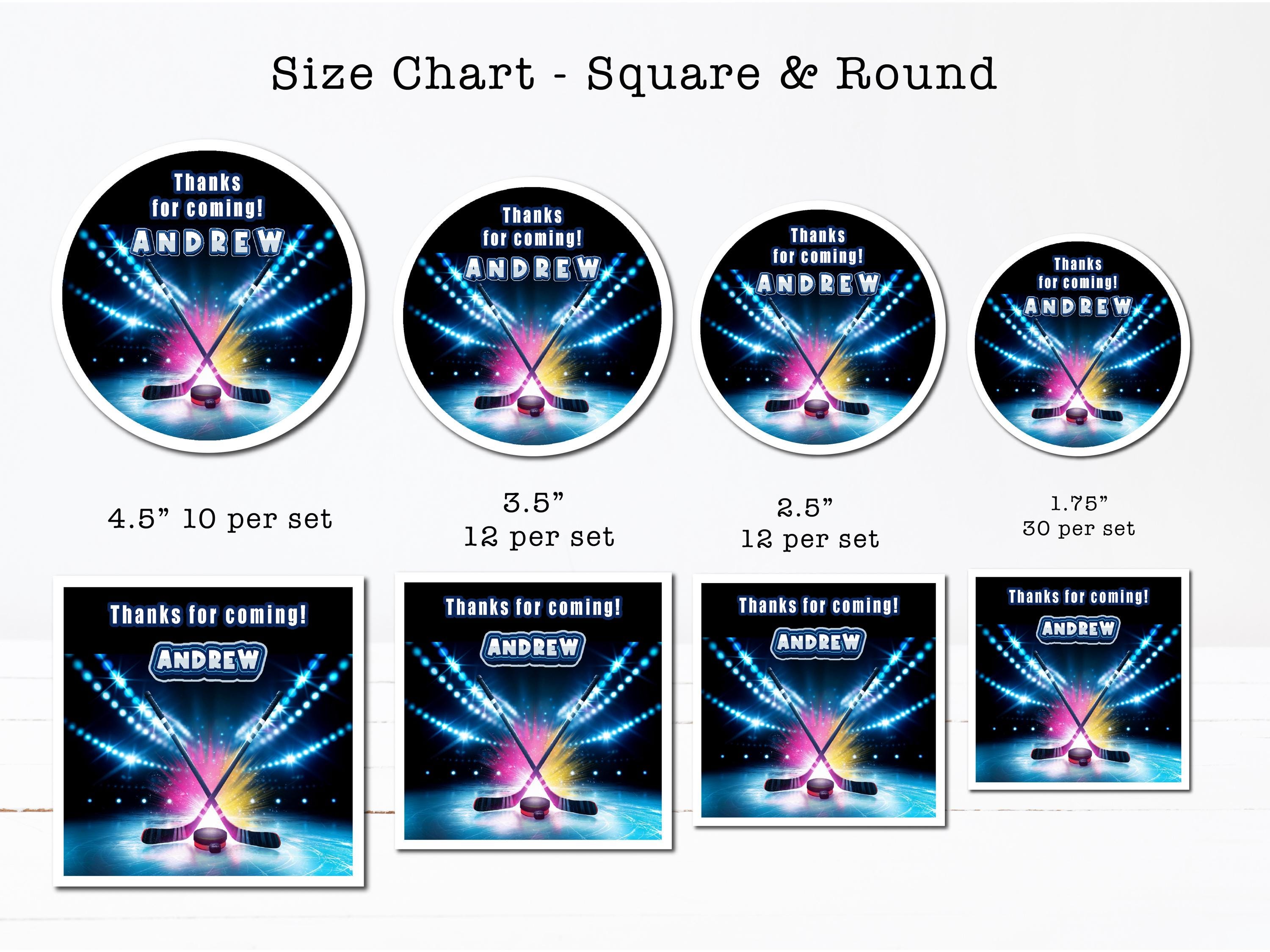 Ice Hockey Rink Winter Skating Kids Boys Skates Hockey Stick Puck ...