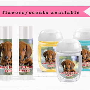 Happy paws on sale pet supplies