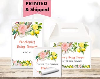 Pink Lemonade Little Lemon Main Squeeze Floral Citrus Summer  Glossy Labels For Party Favor Bags, Gable Boxes, & Round Stickers PI12