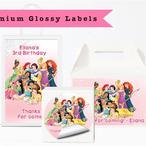 Princess All  Princesses  PRINTED GLOSSY LABELS For Party Favor Gift Bags Box Round Stickers