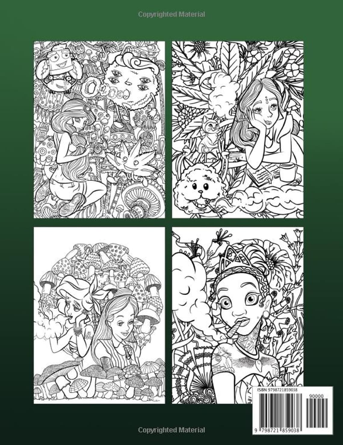 Princess Stoner Coloring Book Coloring Books for Stoner Fans Etsy