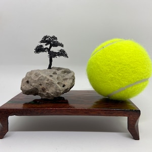Black bonsai tree on unique rock.