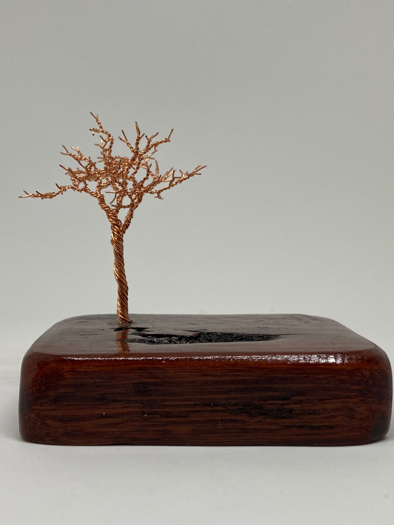 Copper Wire Bonsai Tree on a Jarrah Wood Base. Etsy