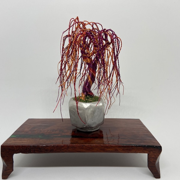 Weeping Willow Bonsai Etsy