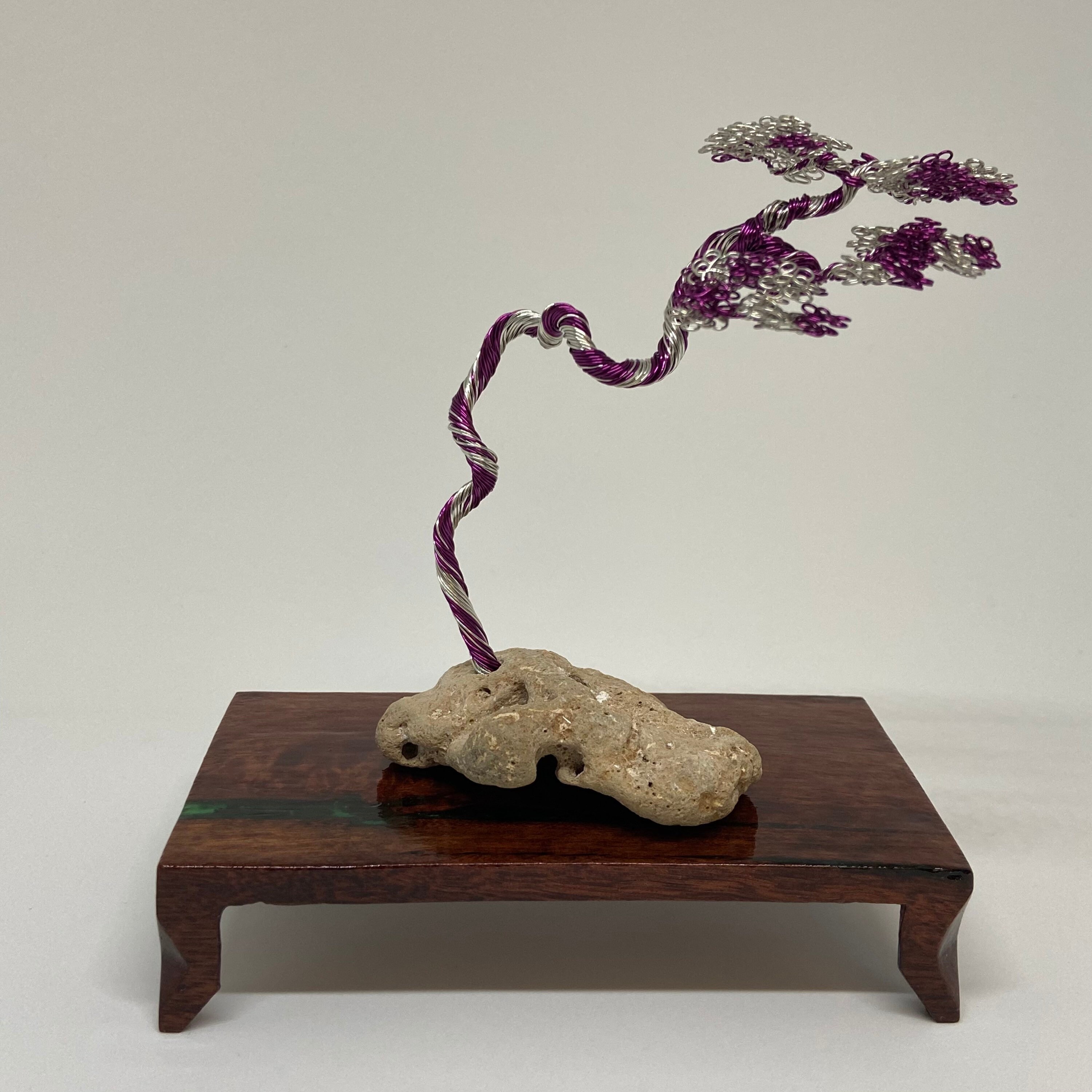 Literati bonsai - Etsy.de