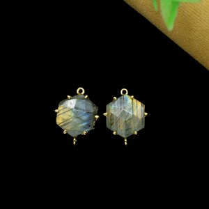 May include: Two gold-toned metal charms with a hexagonal labradorite gemstone. The charms have a loop at the top for attaching to jewelry.