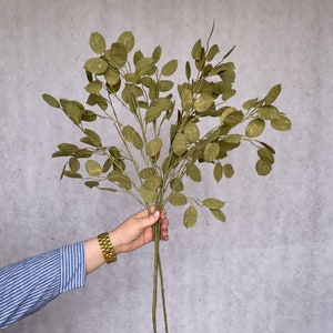 Artificial Faux Silver Dollar Stem - Green| Wedding Decor| Winter Decor| Flower Arrangements| Gifts| Faux Flowers