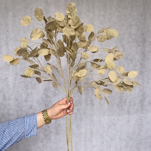 Artificial Faux Silver Dollar Stem - Cream| Wedding Decor| Winter Decor| Flower Arrangements| Gifts| Faux Flowers
