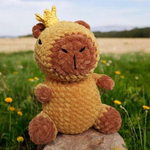 Könnte beinhalten: Ein handgefertigter Teddybär mit Krone. Der Bär ist überwiegend goldgelb mit braunen Akzenten auf Gesicht, Ohren, Pfoten und Füßen. Er sitzt auf einem Felsen in einem Feld mit grünem Gras und gelben Blumen.