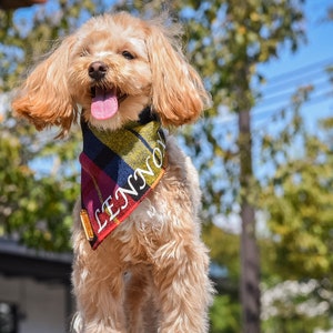 Plaid Dog Bandana - Size 6-8 inch neck - Dog Bandanas - Snap On Dog Bandanas - Two-Toned - Personalized Dog Bandanas - Dog Bandana Collar