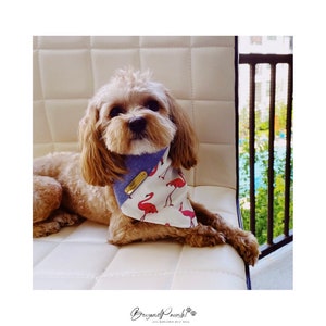 Flamingo Love - Dog Bandanas - Snap On Dog Bandana - Two-Toned - Personalized Dog Bandana - Dog Bandana Collar - Dog Gift - Dog Scarf