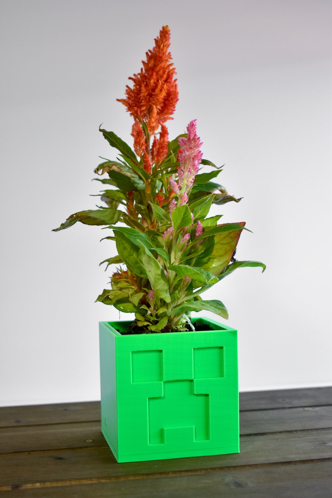 Creeper Plant Pot Minecraft Etsy