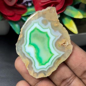 Cabochon di pietra preziosa a fette, di qualità superiore, cabochon di pietra preziosa rara, unico nel suo genere, per la creazione di gioielli. 86 ct.