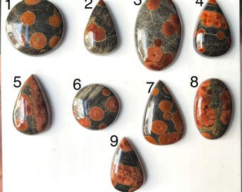Puede incluir: Nueve cabujones de riolita orbicular pulidos dispuestos sobre una superficie blanca, etiquetados con los números del uno al nueve. Cada piedra presenta un color base gris oscuro a negro con inclusiones redondeadas de color naranja y marrón rojizo.
