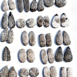 Par de fósseis, lote de pedras preciosas, cabochão de pedras preciosas, par de fósseis pretos, fóssil preto 100% natural, qualidade superior