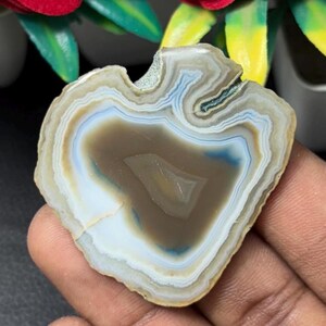 Cabochon di pietra preziosa a fette, di qualità superiore, cabochon di pietra preziosa rara, unico nel suo genere, per la creazione di gioielli. 80 ct.