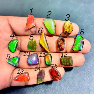 Canadian Ammolite lot, Wholesale Canadian Ammolite Gemstone Cabochon lot, Ammolite 100% Natural Top Grade Quality