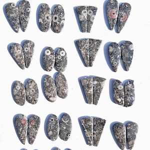 Par de pedras preciosas fósseis Cirinold, lote de cabochões de pedras preciosas Cirinold por atacado, fóssil Cirinold 100% natural de alta qualidade