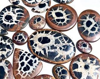 Lote de pedras preciosas septarianas, lote de cabochões de pedras preciosas septarianas no atacado, septarianas 100% naturais de alta qualidade