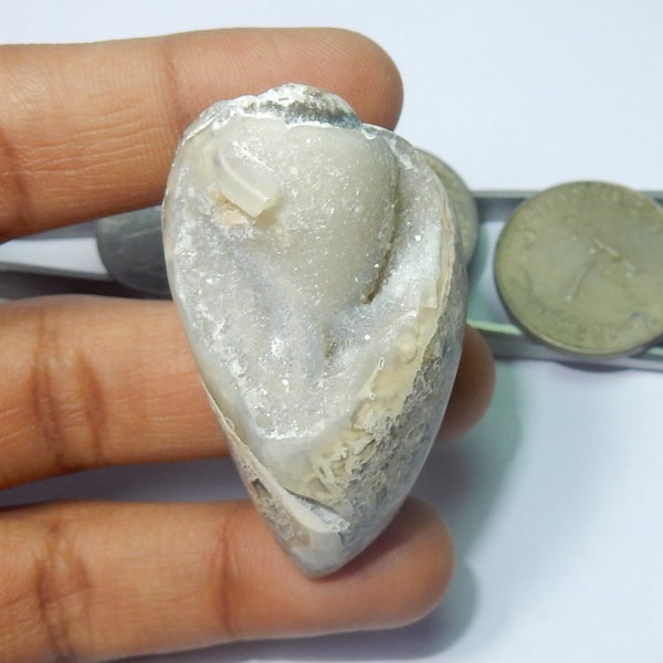 RRR !!!!? QALITY Snail Druzy (seashell) Fossil (Paper Weight) For Home Interiar or Decoration. 144Carat