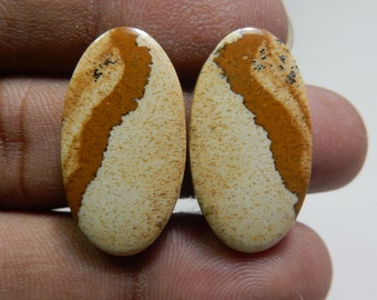 Top Grade Natural Picture Jasper, Jasper Pair Beautiful Gem, AA Natural  Picture Jasper Pair, Picture jasper Loose Gemstone Pair, 22ct #2034