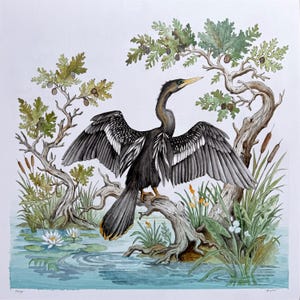 Peut inclure: Peinture à l'aquarelle d'un anhinga aux ailes déployées, perché sur une branche au-dessus d'un plan d'eau. L'oiseau est noir avec des marques blanches. La scène comprend des arbres, des nénuphars et des roseaux.