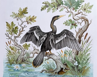 Anhinga, original painting, acrylic paint on archivally sealed wood panel
