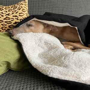Puede incluir: Un perro pequeño de color marrón claro está durmiendo debajo de una manta negra y blanca en un sofá gris. El perro está acurrucado y tiene los ojos cerrados. La manta es suave y esponjosa.
