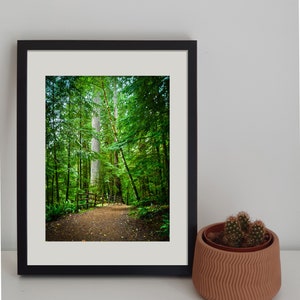 Canadian Landscape || Photography || Digital download || Vancouver Island || British Columbia