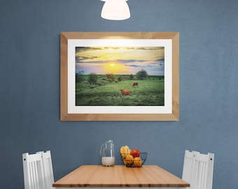 Koeien in een veld bij zonsondergang | Kunstprint | Landelijke boerderijfotografie voor aan de muur