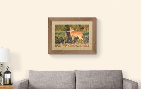 Pair of Young Deer Fine Art Print | White-tail Fawns Wildlife Photography | Woodland Wall Art