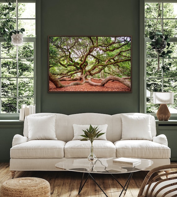 Angel Oak Tree Print | South Carolina Landscape Photography | Charleston Wall Art