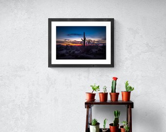 May include: A framed photograph of a desert landscape with a tall cactus silhouetted against a colorful sunset. The photo is hanging on a white wall above a shelf with potted plants.