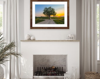 Tree in the middle of the Road | Farmhouse Wall Décor | Tree in Road Landscape Print | Country Living | Rustic Wall Art | Iowa Countryside