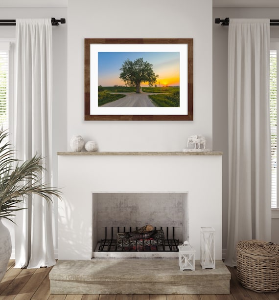Tree in the Road Fine Art Print | Iowa Countryside Landscape Photography | Rural Wall Art