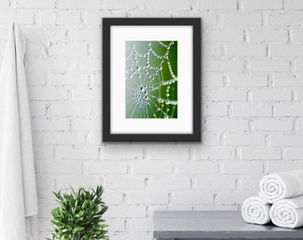 Spider Web with Dew Drops Print | Abstract photo | Contemporary Wall Art | Farmhouse décor | Country Living