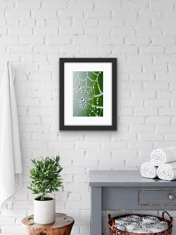 Spider Web Dew Drops Print | Macro Nature Photography | Abstract Fine Art Wall Art