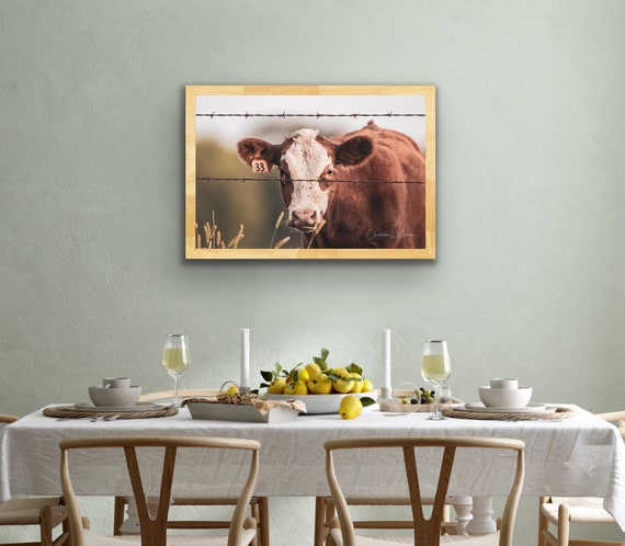 Brown Cow Fine Art Print | Apathetic Farm Animal Photography, Rustic Wall Art