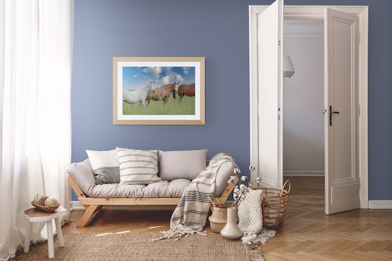 Summer Horses Fine Art Print | Horse Farm Photography | Country Landscape Wall Art
