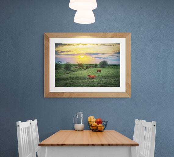 Cows in Field Sunset Fine Art Print | Rural Farm Country Photography Wall Art