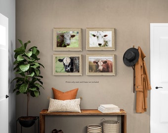 Cow Print Set | Rustic Décor | Farmhouse Style | Modern Country Photography