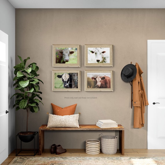 Cow Print Set | Farm Animal Photography | Rustic Farmhouse Wall Art