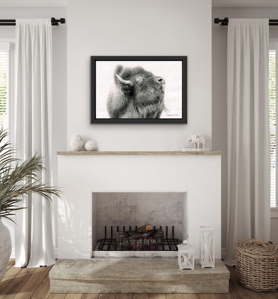 Bison Fine Art Print | Black & White Wildlife Photography | Western Wall Art