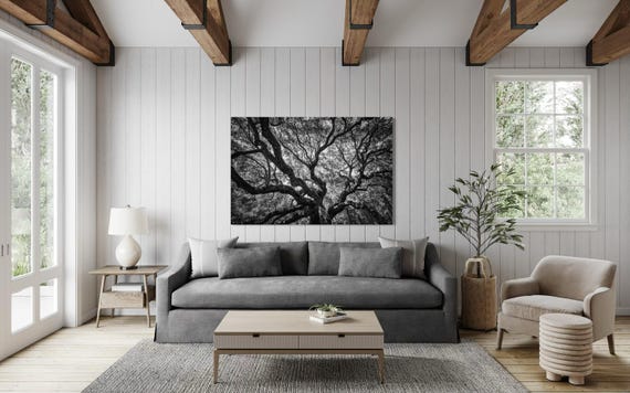 Angel Oak Tree Print | Black & White Fine Art Photography | Charleston SC Wall Art