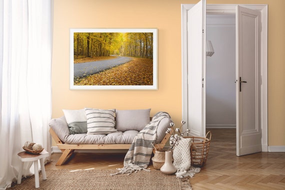 Autumn Road Fine Art Print | Fall Foliage Landscape Photography Wall Art