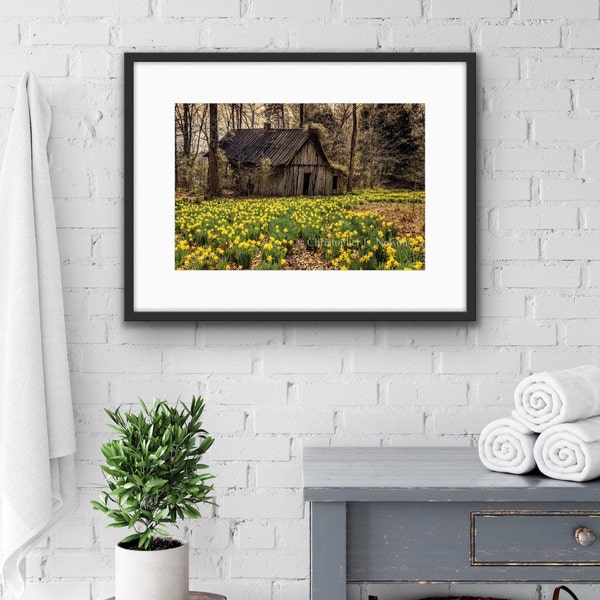 Old Barn and Daffodils Print | Farmhouse Décor | Country Landscape Photograph | Farmhouse Style | Weathered Old Barn | Rustic Fine Art