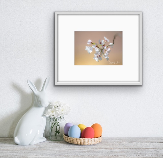 Cherry Blossom Fine Art Print | Spring Flower Photography | Floral Wall Art