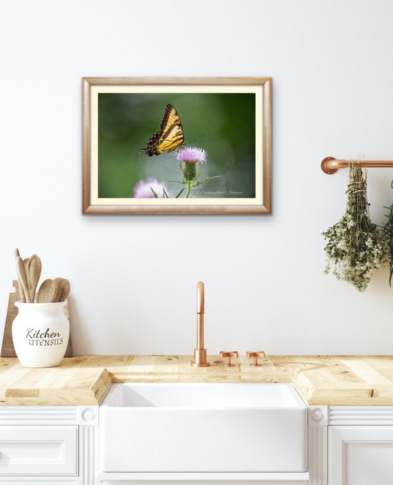 Swallowtail Butterfly Print | Butterfly & Flower Photography | Nature Wall Art
