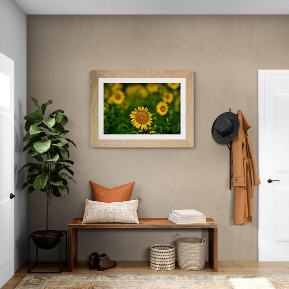 Sunflower Field Fine Art Print | Country Landscape Photography | Farmhouse Flower Wall Art